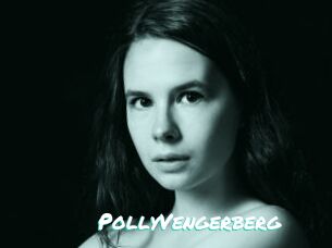 PollyVengerberg