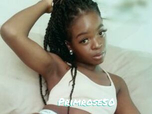 Primrose50