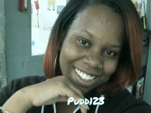 Pudd123 Free Sites X