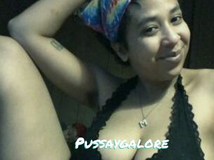 Pussaygalore