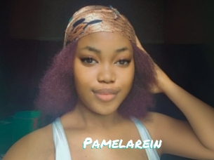 Pamelarein