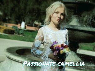 Passionate_camellia