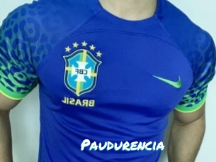 Paudurencia