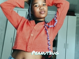 Peanutbug