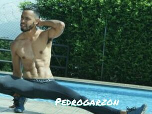 Pedrogarzon