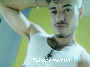 Pedromancini
