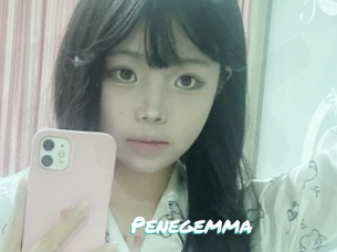 Penegemma