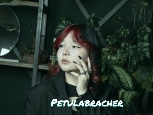 Petulabracher