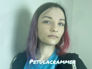 Petulacrammer
