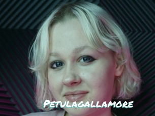 Petulagallamore
