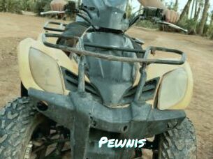 Pewnis