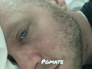 Pgmate