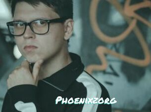 Phoenixzorg