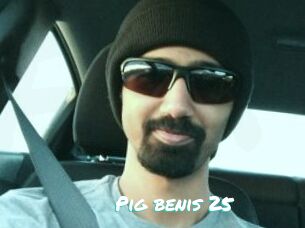 Pig_benis_25