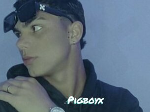 Pigboyx