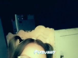 pixbunny Free Sites X