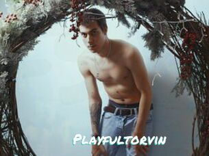 Playfultorvin