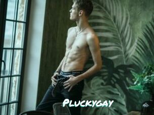Pluckygay