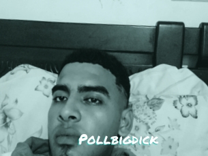 Pollbigdick
