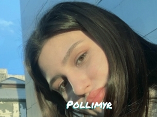 Pollimyr