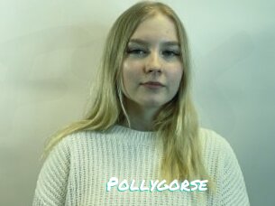 Pollygorse