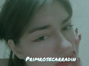 Primrosecarradin