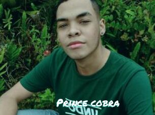 Prince_cobra