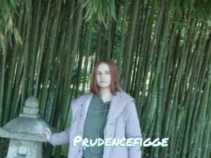 Prudencefigge