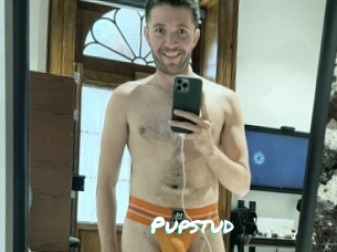 Pupstud