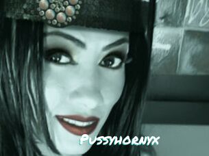Pussyhornyx