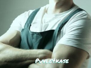 Puvle4kase
