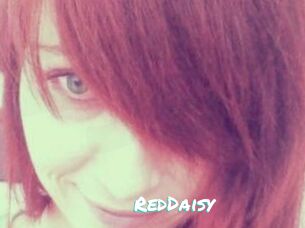 RedDaisy