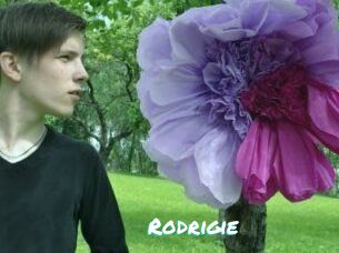 Rodrigie