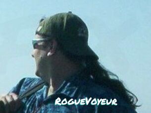 RogueVoyeur
