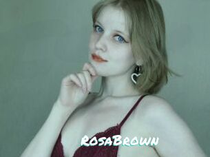 RosaBrown