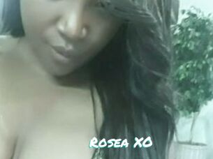 Rosea_XO