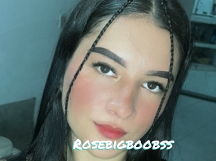 Rosebigboobss