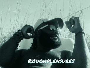 Roughpleasures