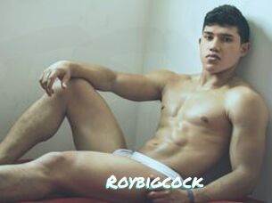 Roybigcock