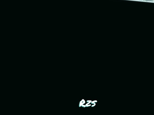 Rzs