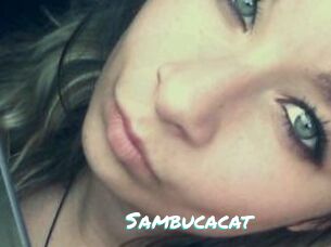 Sambucacat