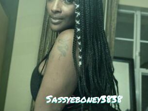 Sassyeboney3838