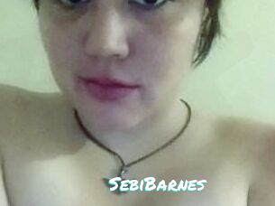 Sebi_Barnes