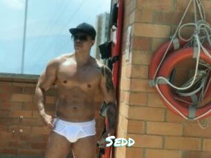 Sedd