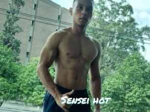Sensei_hot
