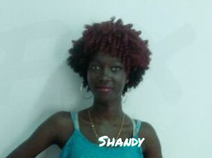 Shandy