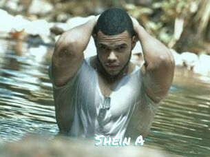 Shein_A