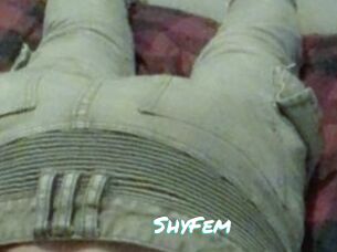 ShyFem