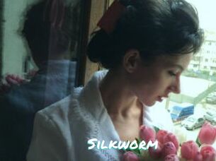 Silkworm