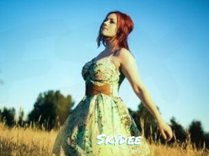SkyDee